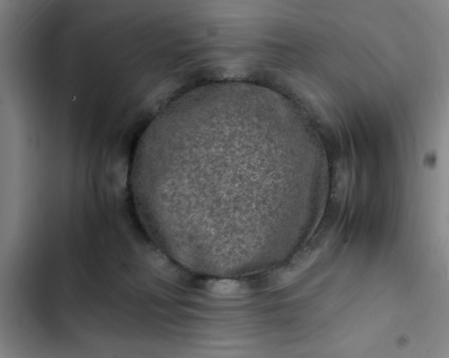 X0000102480230200808221714