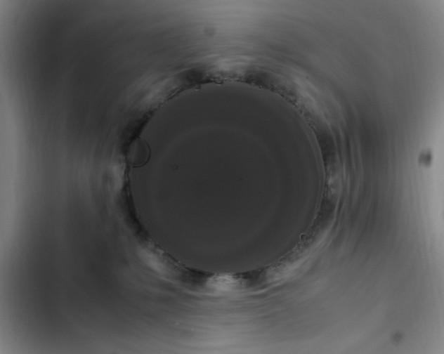 X0000102480231200808221714