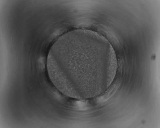 X0000102480232200808221714