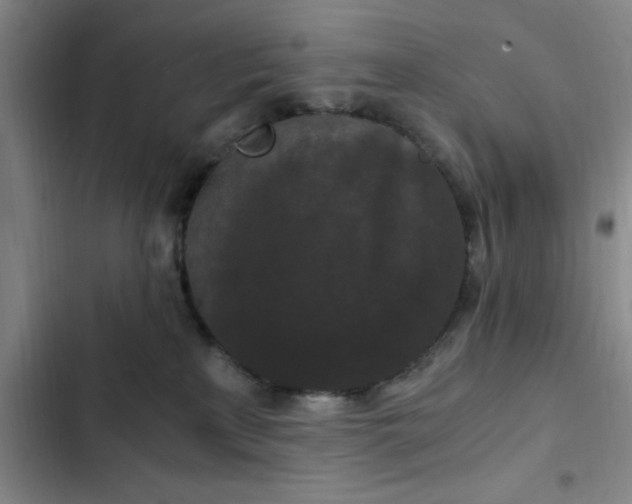 X0000102480233200808221714