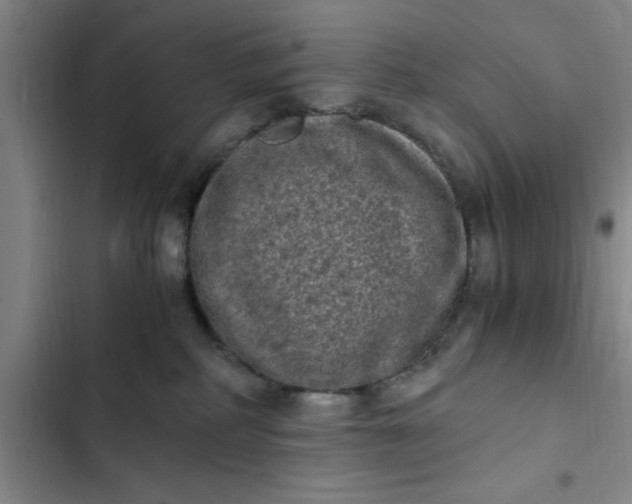 X0000102480234200808221714