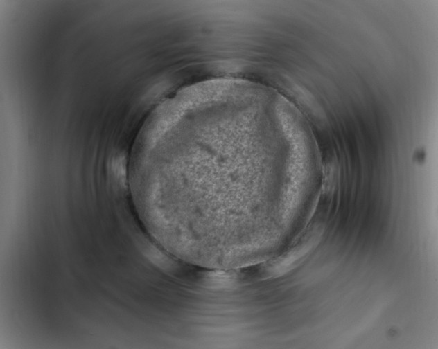 X0000102480238200808221714