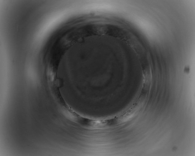 X0000102480239200808221714