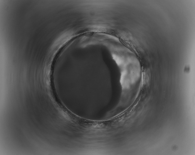 X0000102480243200808221714