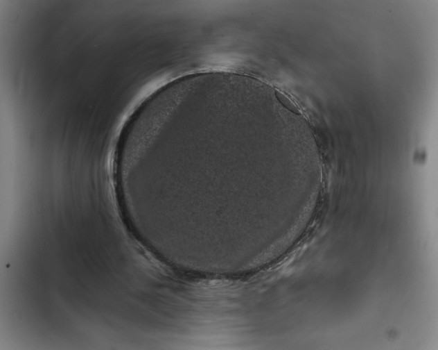 X0000102480244200808221714