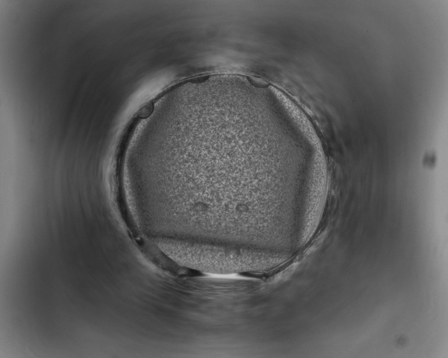 X0000102480245200808221714