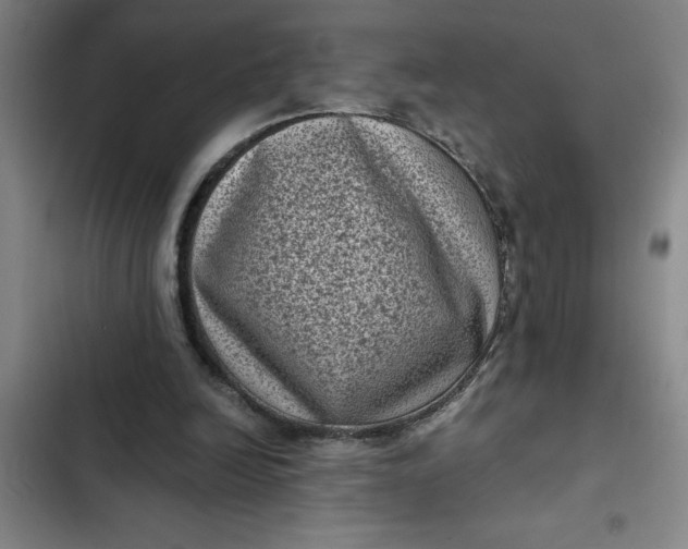 X0000102480246200808221714