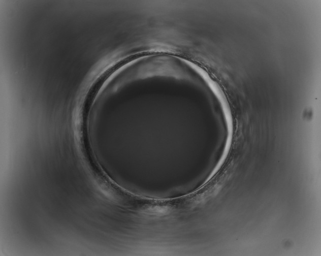 X0000102480247200808221714