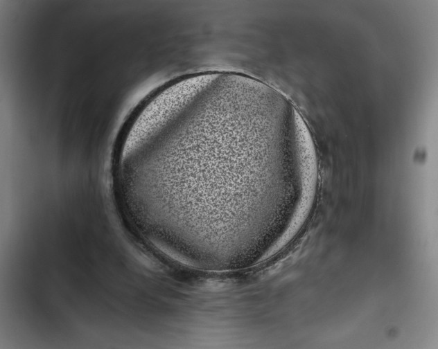 X0000102480248200808221714