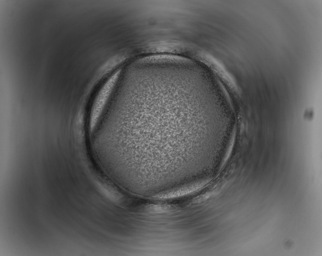 X0000102480250200808221714