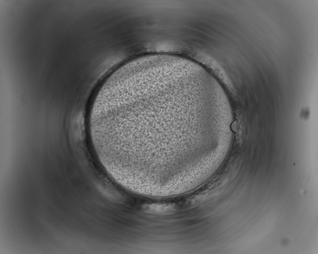 X0000102480251200808221714