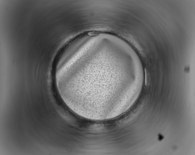 X0000102480252200808221714