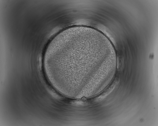 X0000102480253200808221714