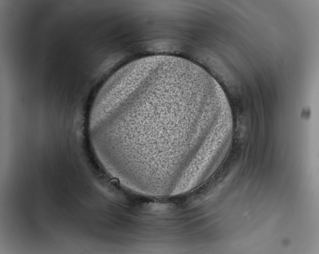 X0000102480255200808221714