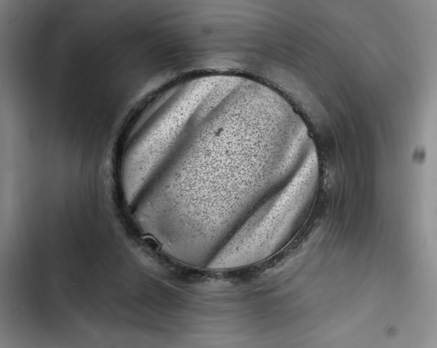 X0000102480256200808221714