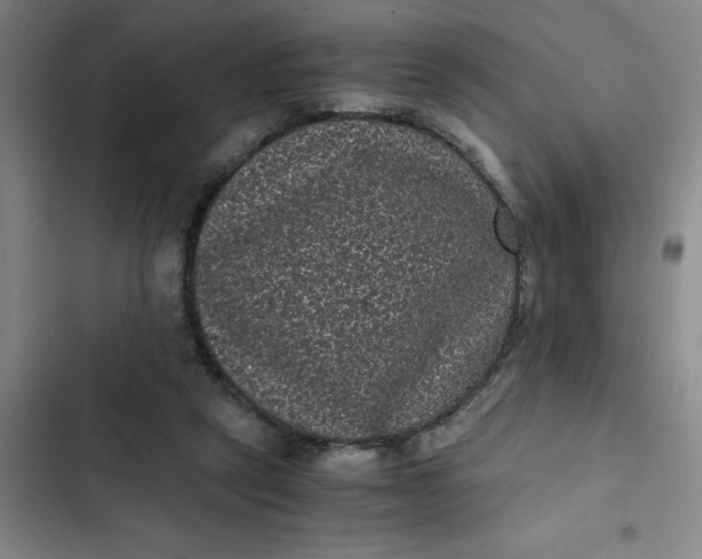 X0000102480257200808221714