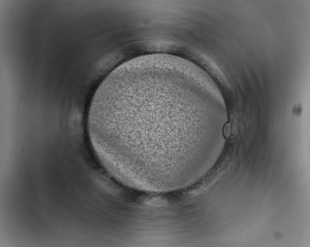 X0000102480258200808221714