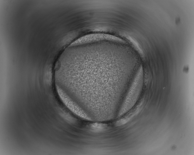 X0000102480261200808221714