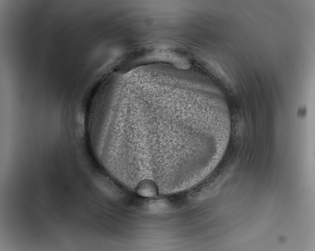 X0000102480262200808221714