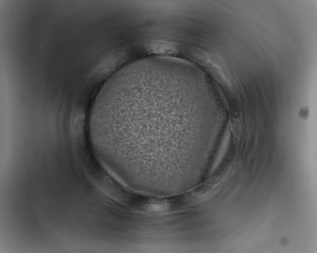 X0000102480263200808221714