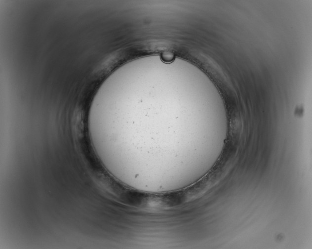 X0000102480264200808221714