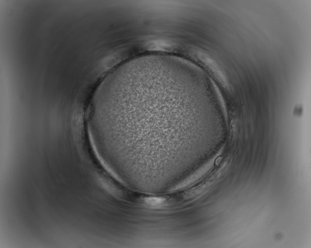 X0000102480265200808221714