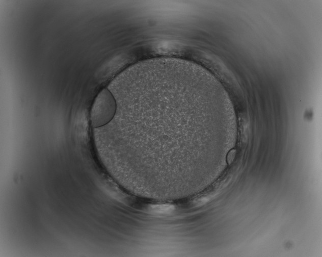 X0000102480266200808221714