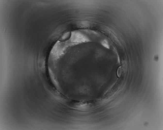 X0000102480267200808221714