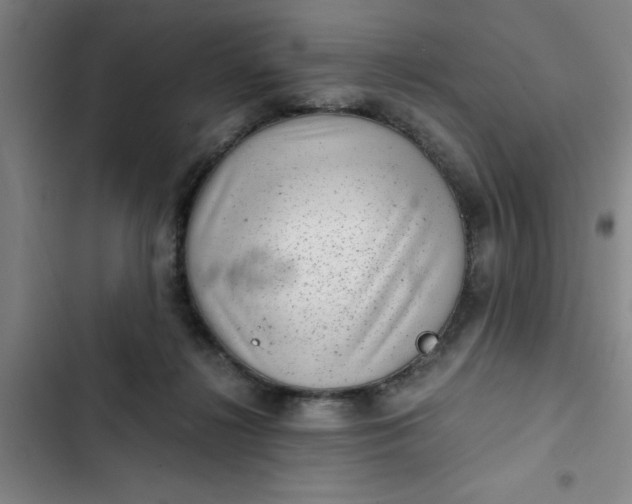 X0000102480268200808221714