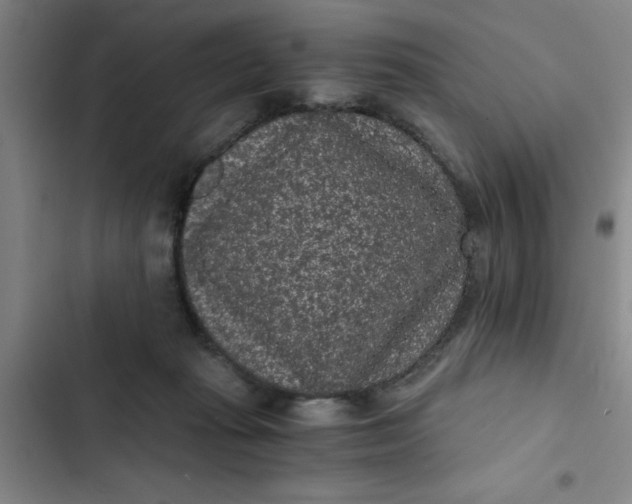 X0000102480269200808221714