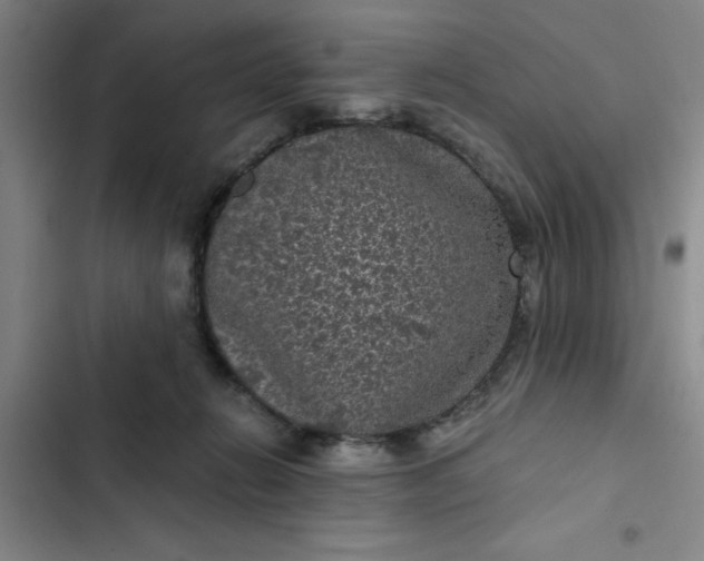 X0000102480270200808221714