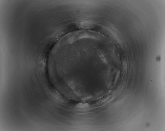 X0000102480271200808221714