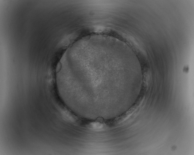 X0000102480272200808221714