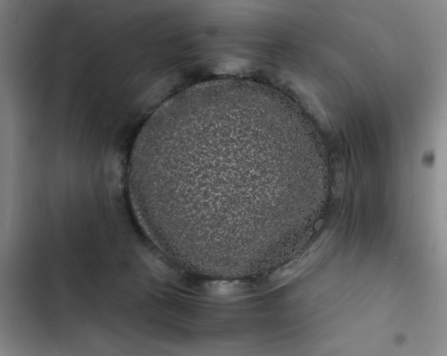 X0000102480273200808221714