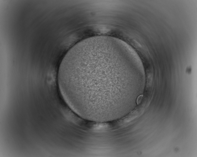 X0000102480274200808221714