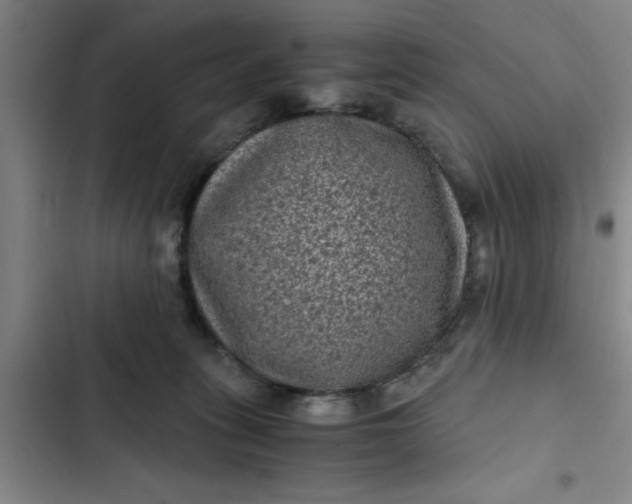 X0000102480275200808221714