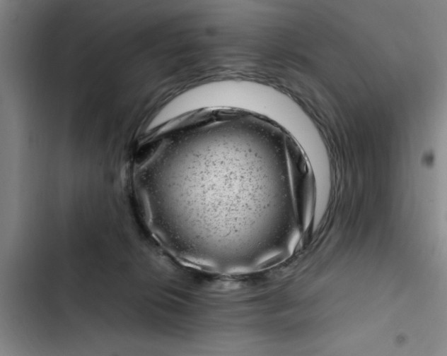 X0000102480276200808221714