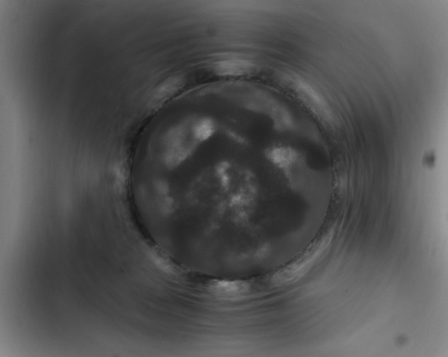 X0000102480277200808221714