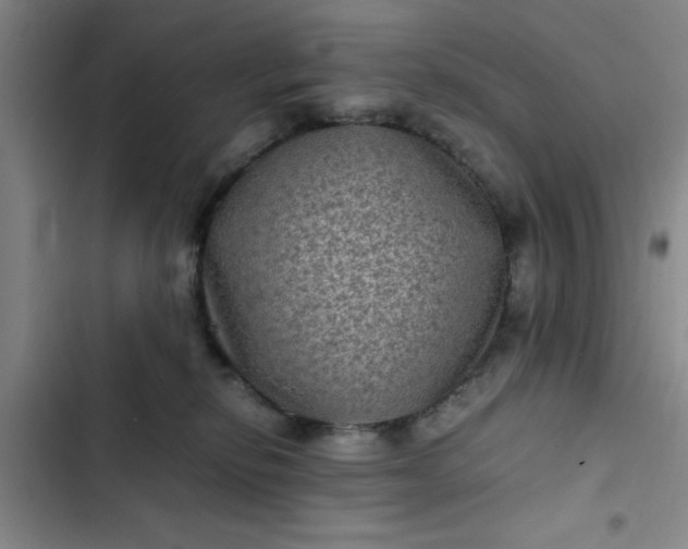 X0000102480278200808221714