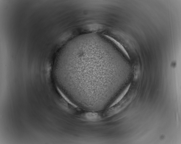 X0000102480279200808221714