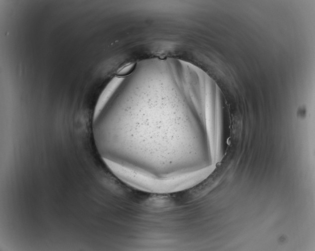 X0000102480280200808221714