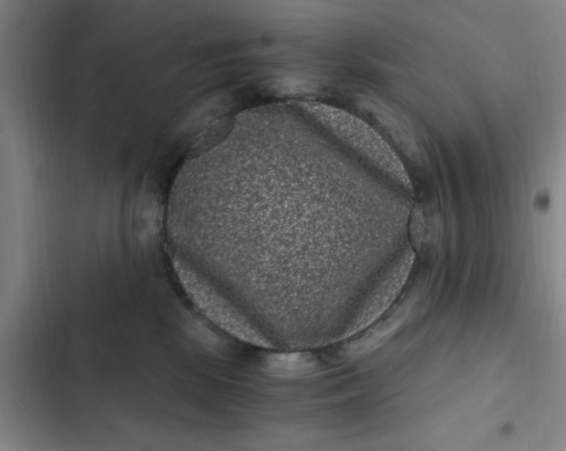 X0000102480281200808221714