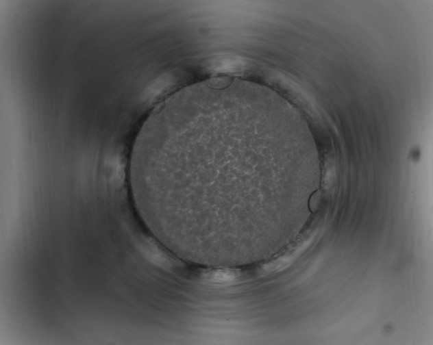 X0000102480282200808221714