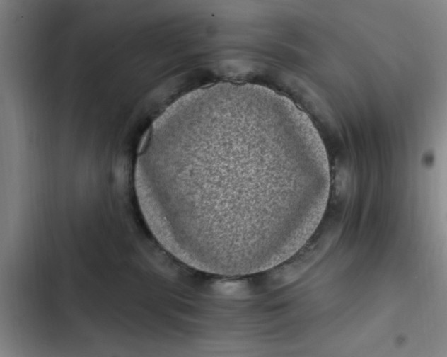 X0000102480283200808221714