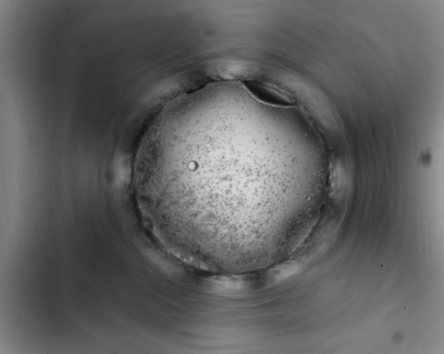 X0000102480284200808221714