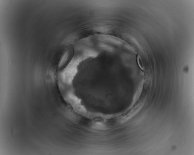 X0000102480285200808221714