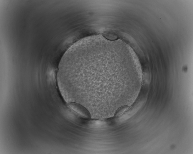 X0000102480286200808221714