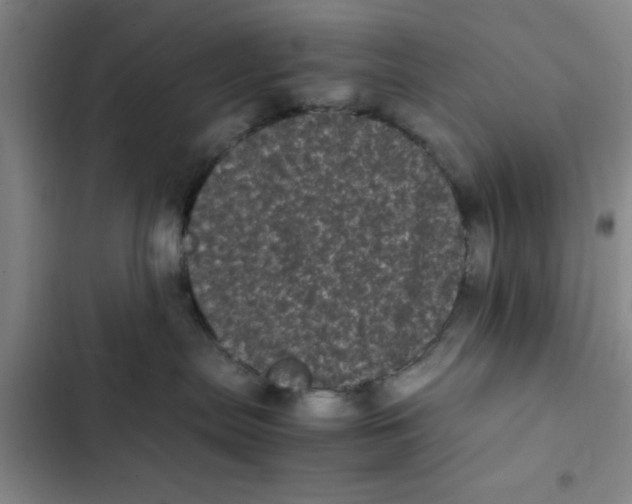 X0000102480287200808221714