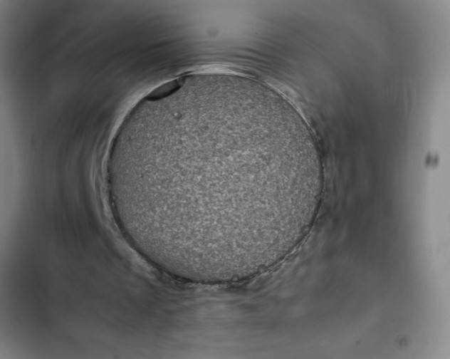 X0000102480289200808221714