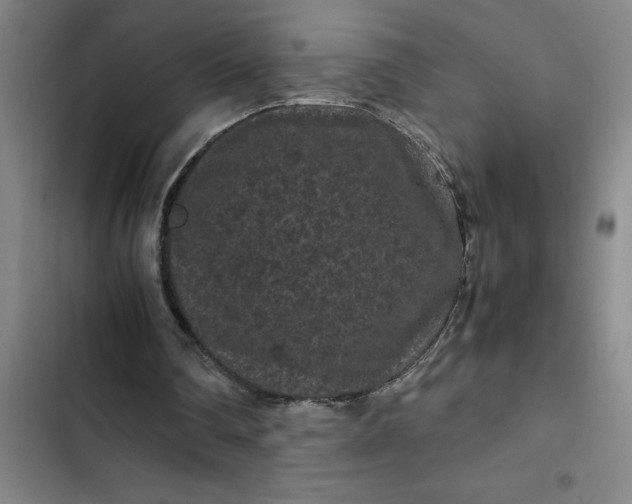 X0000102480290200808221714